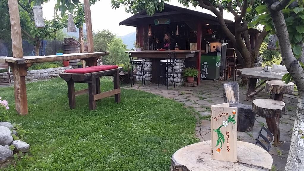 Kalliopi Papigkon Exteriör bild